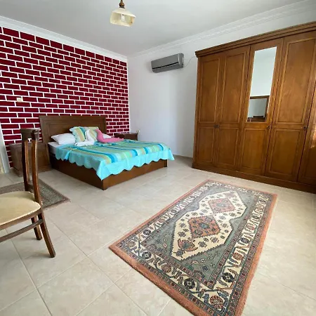 Alenz Didyma Villa Didim